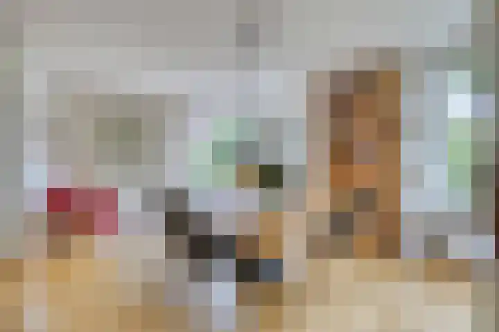Fonteinkruid 208 Kampen thumbnail 16