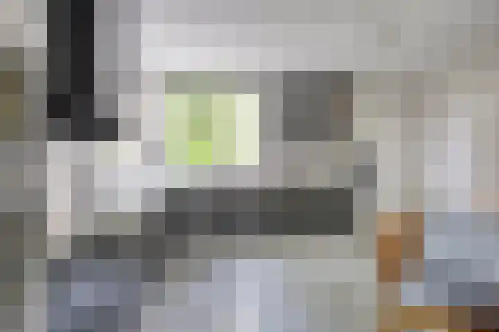 Fonteinkruid 208 Kampen thumbnail 22