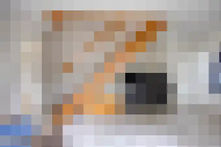 Fonteinkruid 208 Kampen thumbnail 29