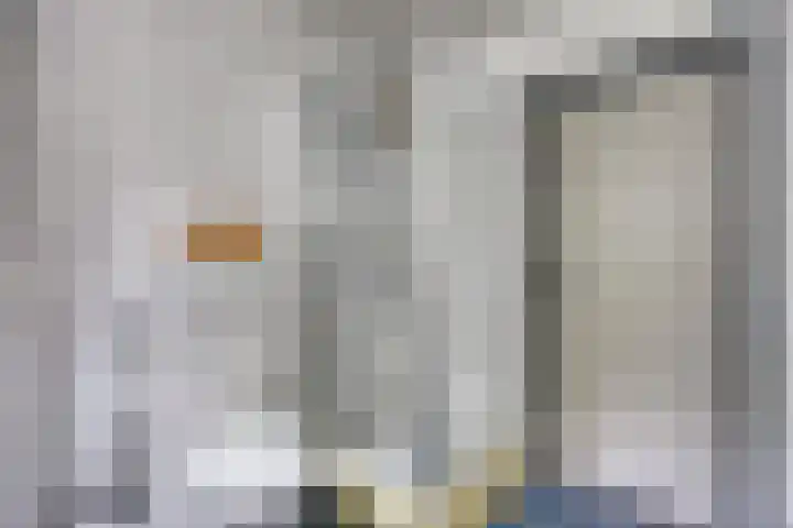 Fonteinkruid 208 Kampen thumbnail 34