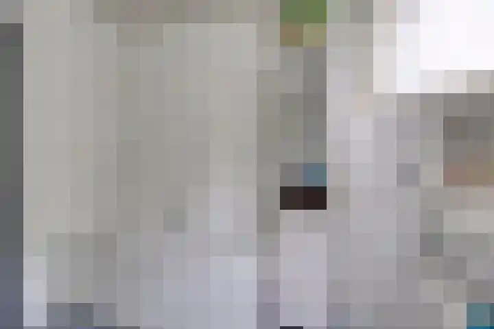 Fonteinkruid 208 Kampen thumbnail 35