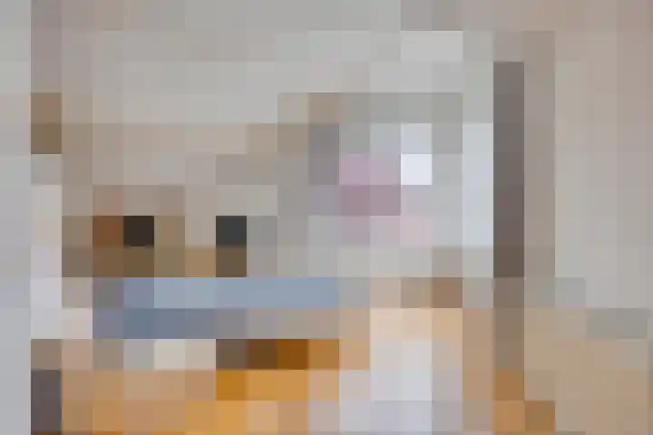 Fonteinkruid 208 Kampen thumbnail 36