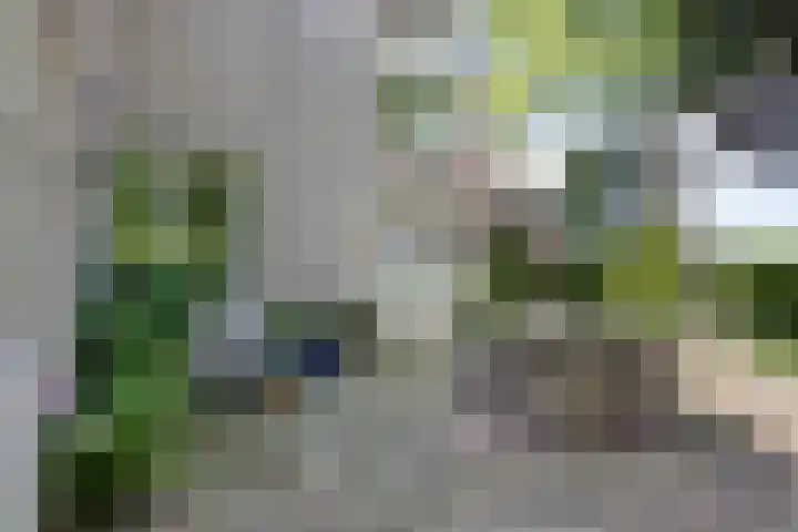 Fonteinkruid 208 Kampen thumbnail 47