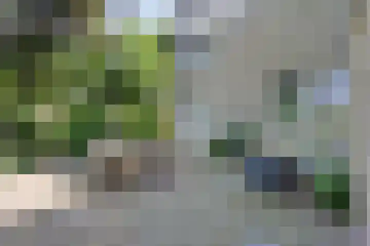 Fonteinkruid 208 Kampen thumbnail 48