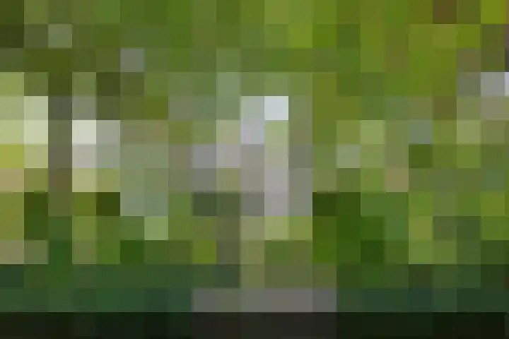 Fonteinkruid 208 Kampen thumbnail 53