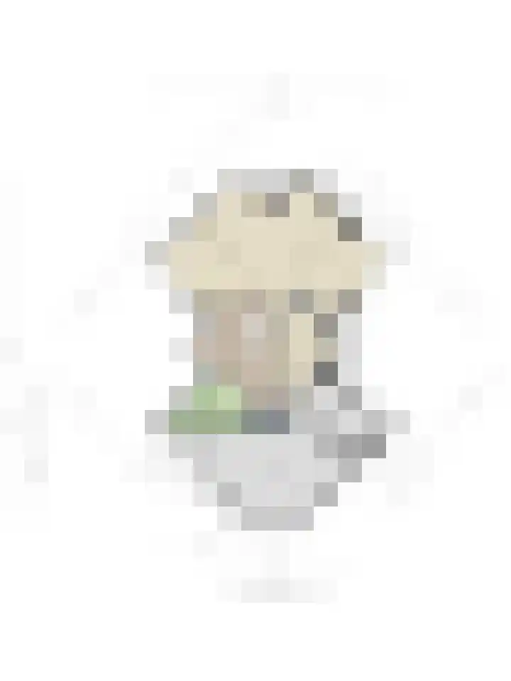 Fonteinkruid 208 Kampen thumbnail 67