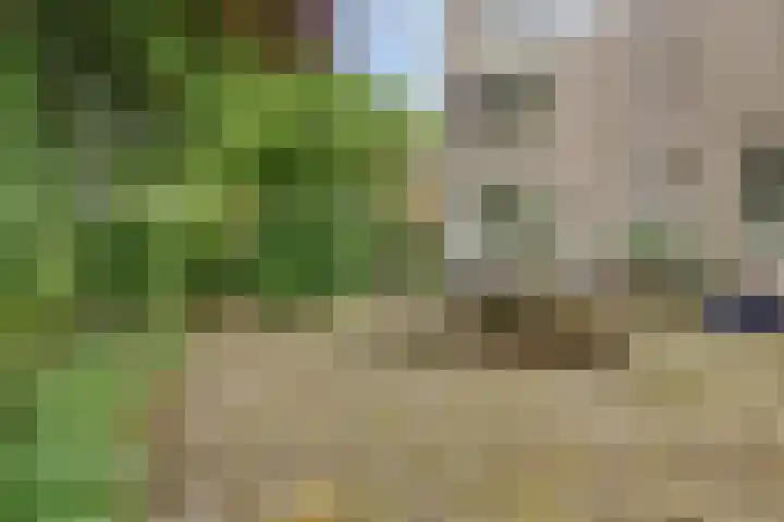 Fonteinkruid 208 Kampen thumbnail 7