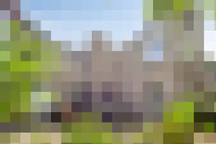 Fonteinkruid 208 Kampen thumbnail 8