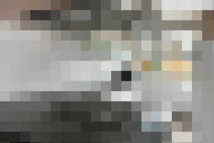 Fonteinkruid 25 Elst thumbnail 16