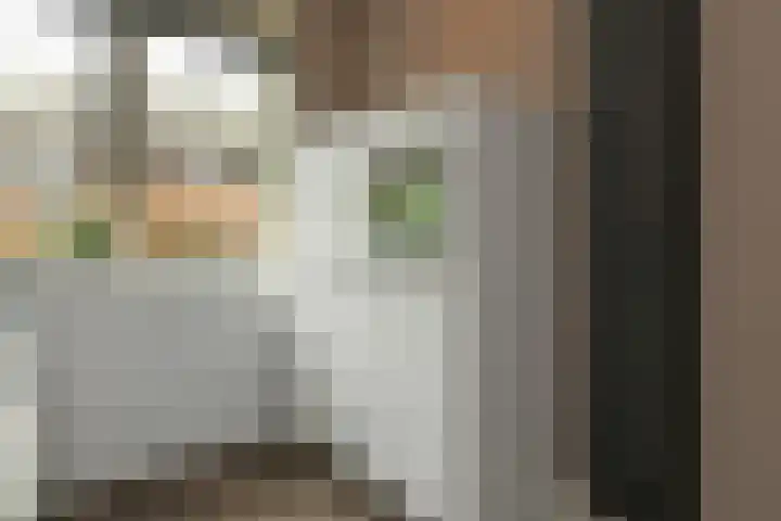 Fonteinkruid 25 Elst thumbnail 17
