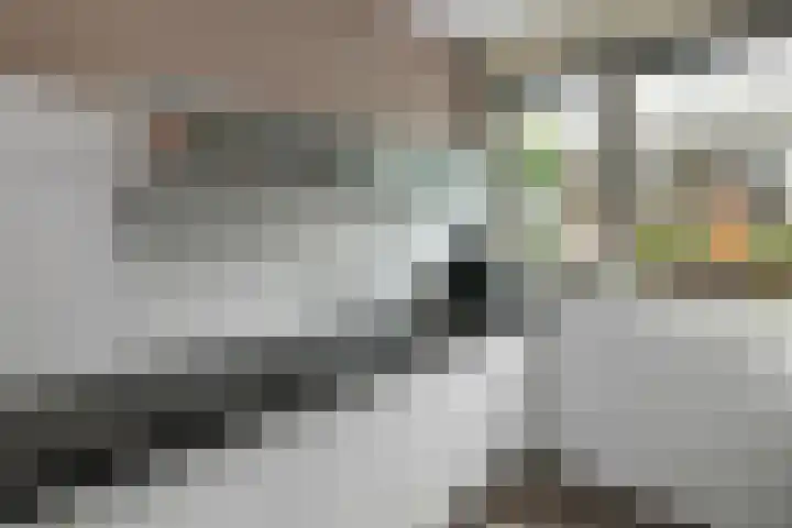 Fonteinkruid 25 Elst thumbnail 18