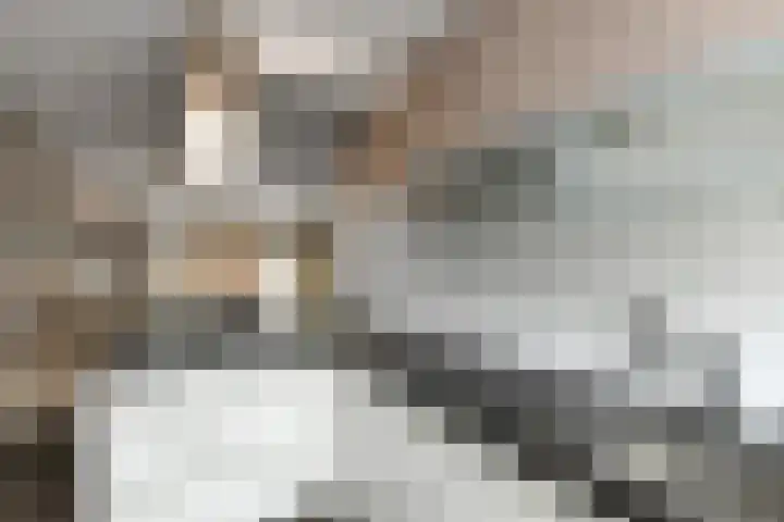 Fonteinkruid 25 Elst thumbnail 19