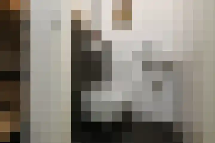 Fonteinkruid 25 Elst thumbnail 21