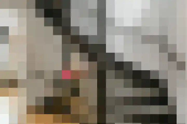 Fonteinkruid 25 Elst thumbnail 22