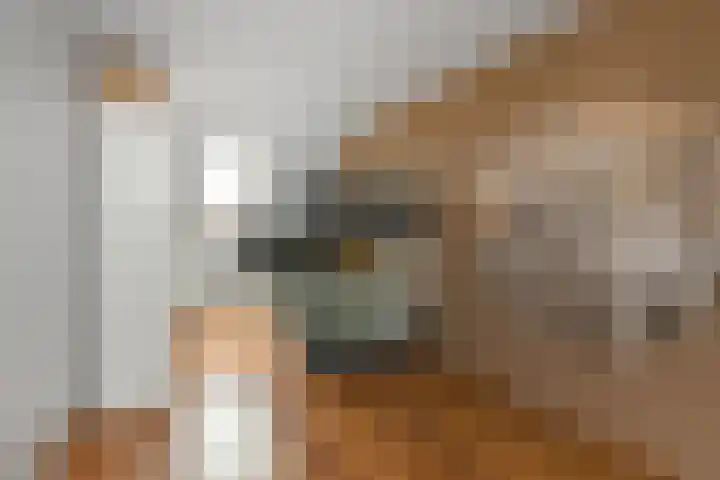 Fonteinkruid 25 Elst thumbnail 37