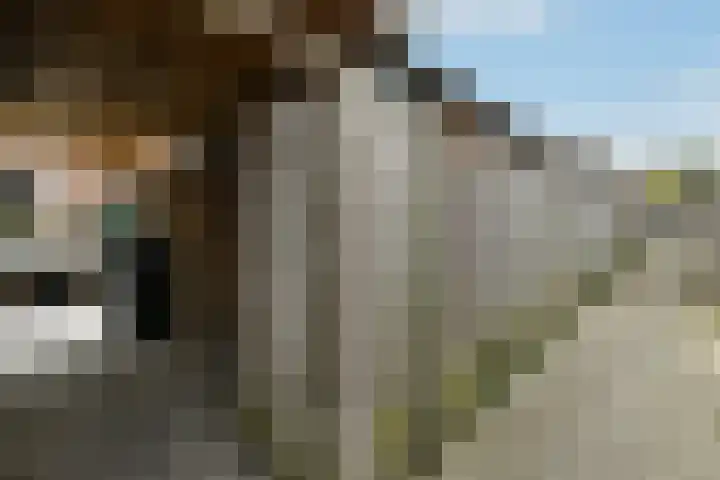 Fonteinkruid 25 Elst thumbnail 46