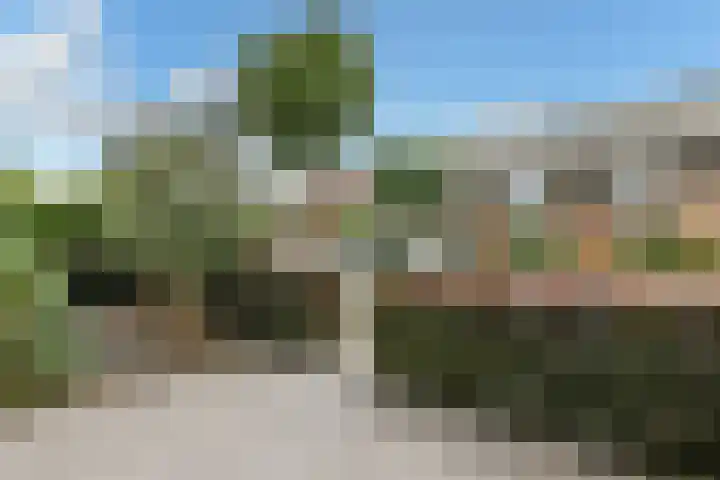 Fonteinkruid 25 Elst thumbnail 48