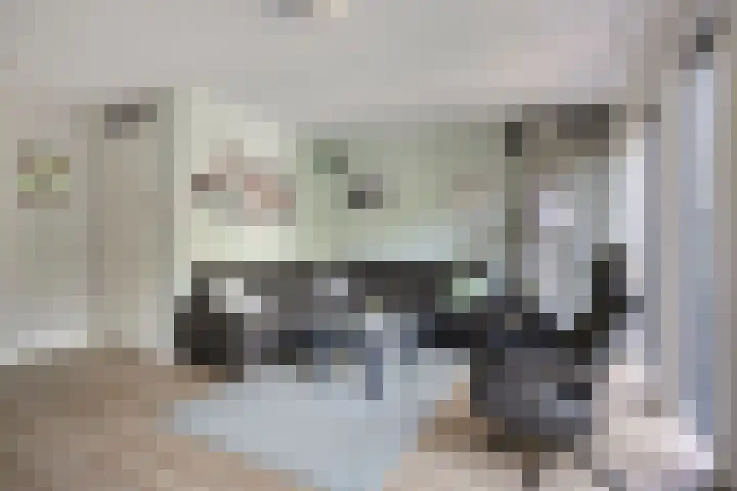 Fonteinkruid 27 Meppel thumbnail 13