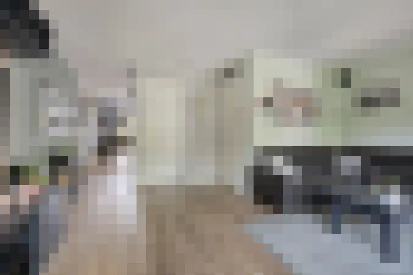 Fonteinkruid 27 Meppel thumbnail 15