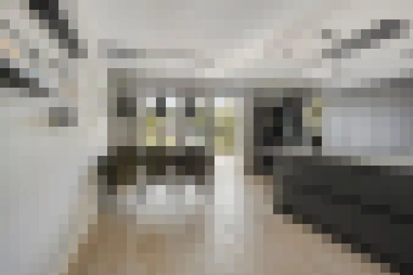 Fonteinkruid 27 Meppel thumbnail 16