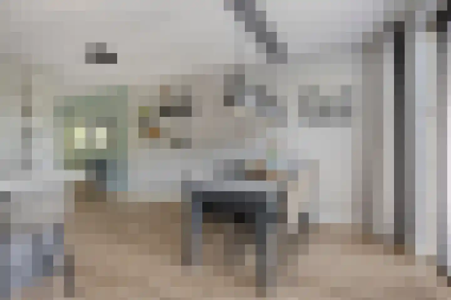 Fonteinkruid 27 Meppel thumbnail 18