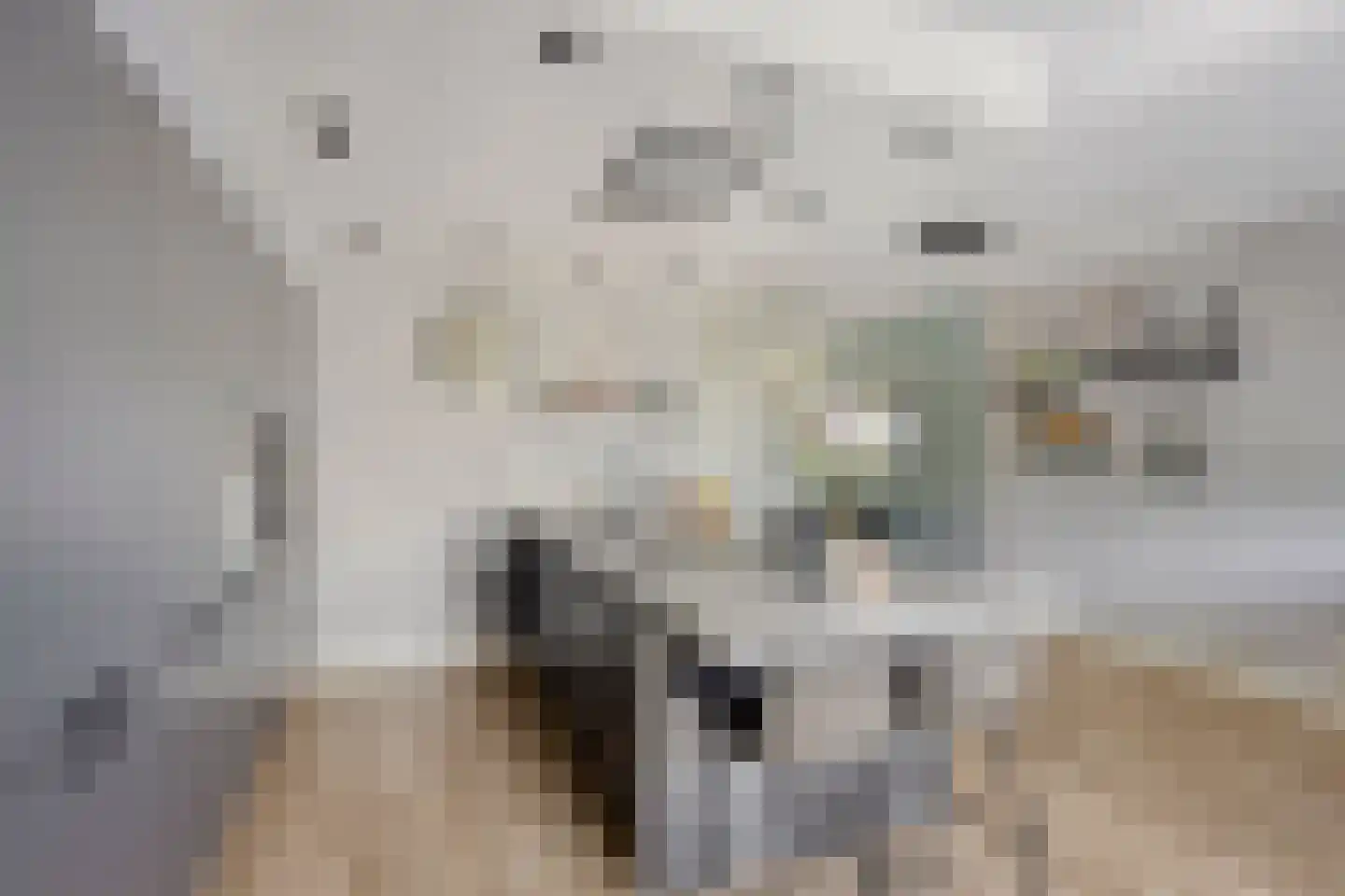 Fonteinkruid 27 Meppel thumbnail 25