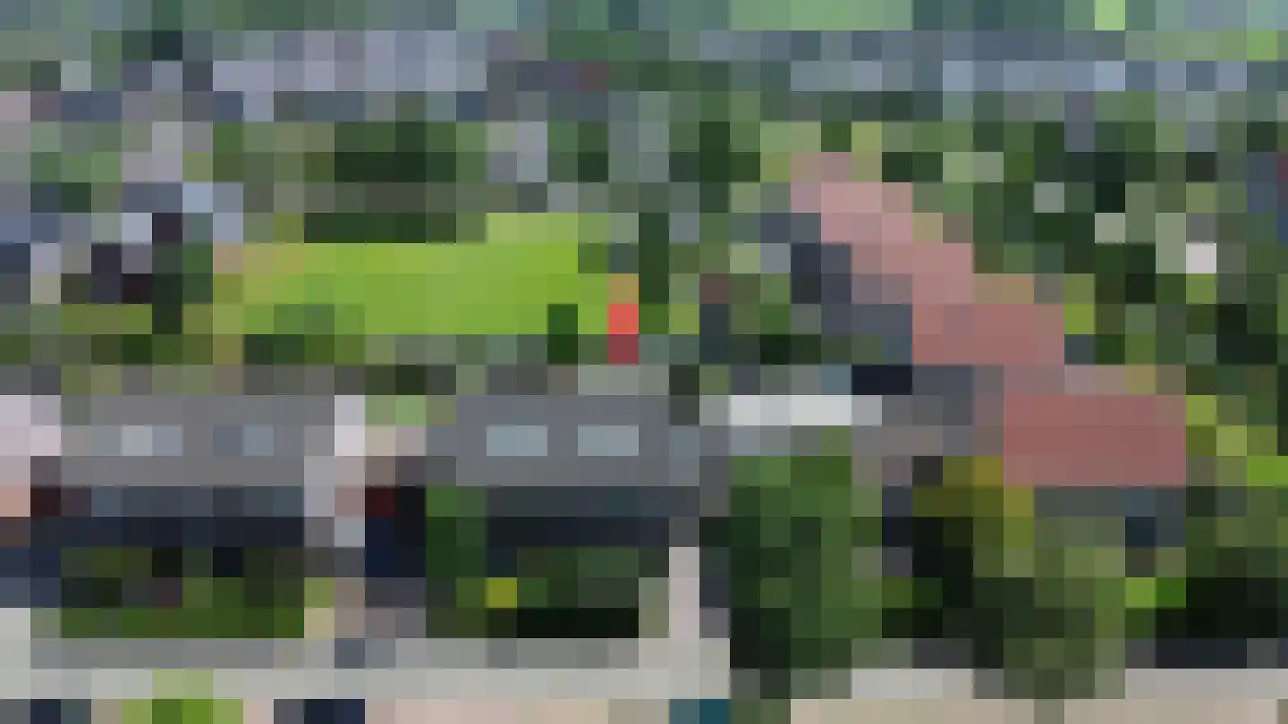 Fonteinkruid 27 Meppel thumbnail 48