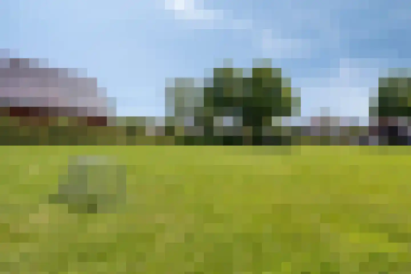 Fonteinkruid 27 Meppel thumbnail 50