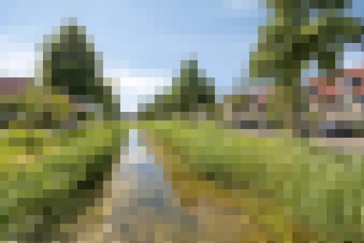 Fonteinkruid 27 Meppel thumbnail 51