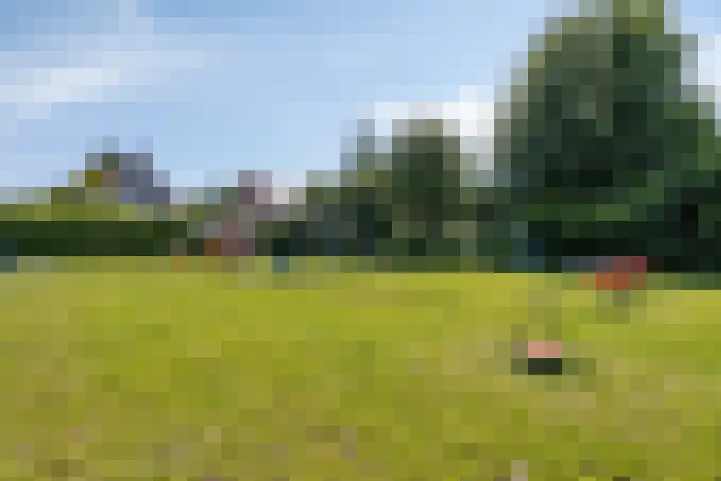 Fonteinkruid 27 Meppel thumbnail 53