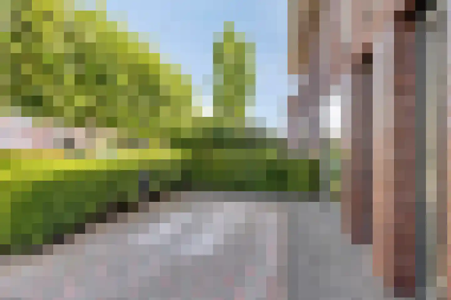 Fonteinkruid 27 Meppel thumbnail 8