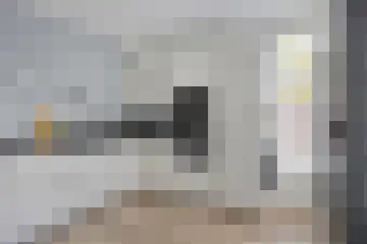 Fonteinkruid 33 Berlicum thumbnail 10