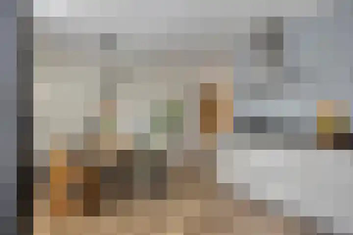 Fonteinkruid 33 Berlicum thumbnail 11