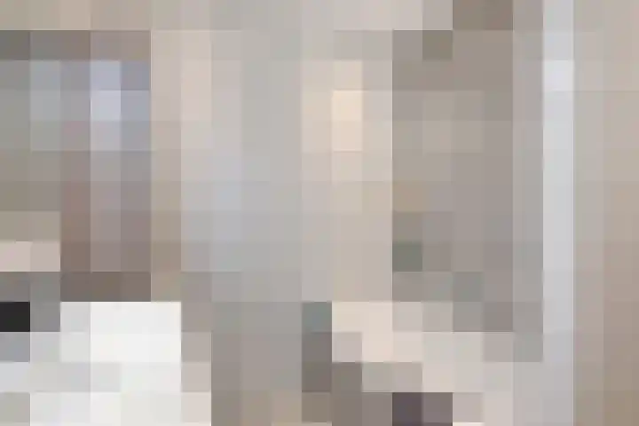 Fonteinkruid 33 Berlicum thumbnail 17