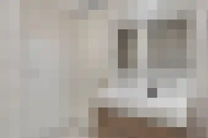 Fonteinkruid 33 Berlicum thumbnail 18