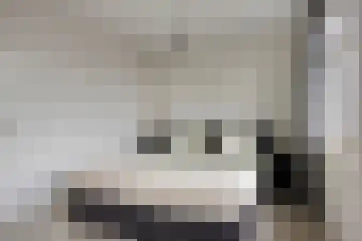 Fonteinkruid 33 Berlicum thumbnail 20