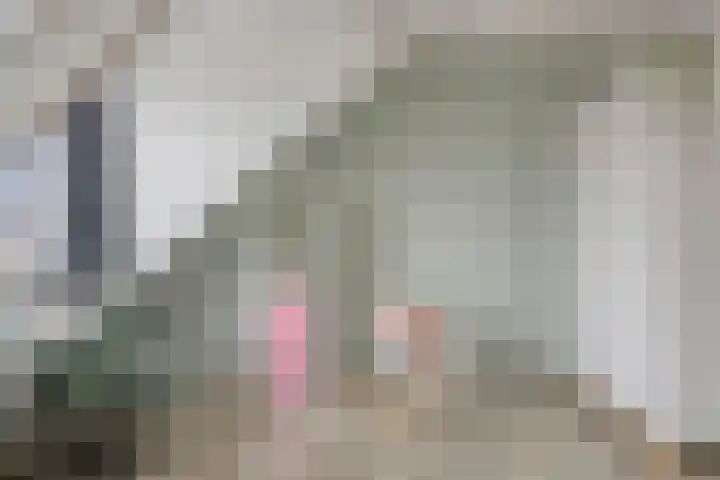 Fonteinkruid 33 Berlicum thumbnail 27