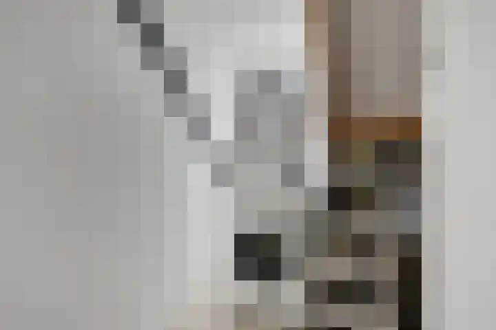 Fonteinkruid 33 Berlicum thumbnail 30