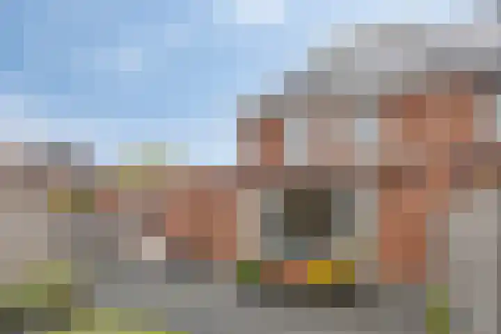 Fonteinkruid 33 Berlicum thumbnail 31