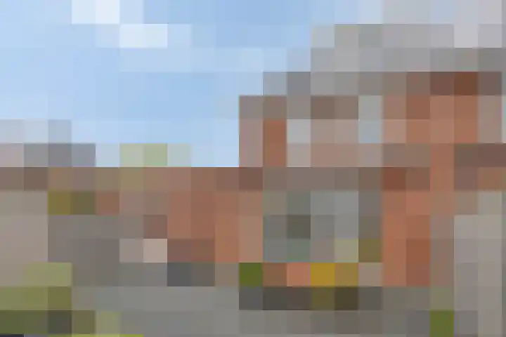 Fonteinkruid 33 Berlicum thumbnail 32