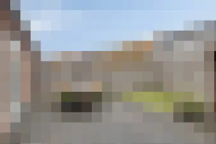 Fonteinkruid 33 Berlicum thumbnail 34