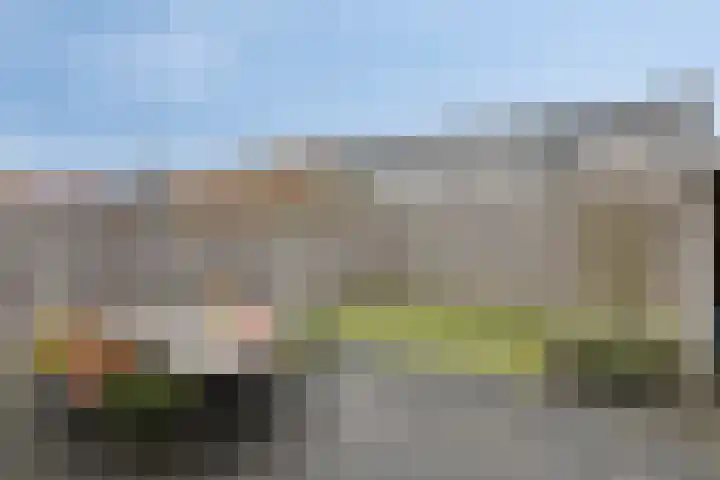Fonteinkruid 33 Berlicum thumbnail 35