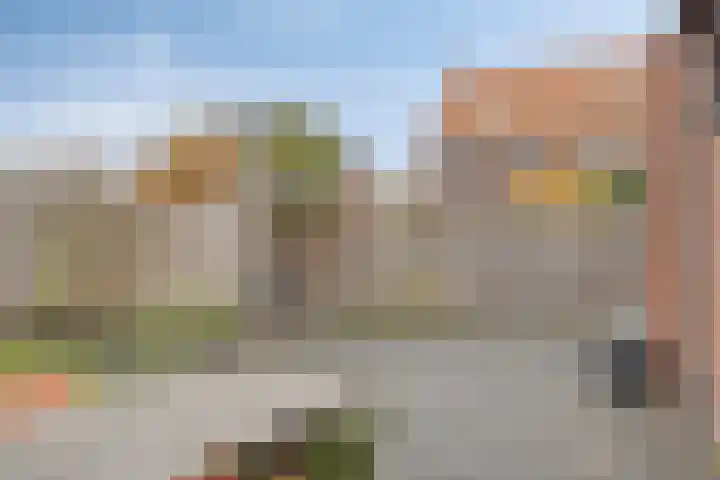 Fonteinkruid 33 Berlicum thumbnail 36