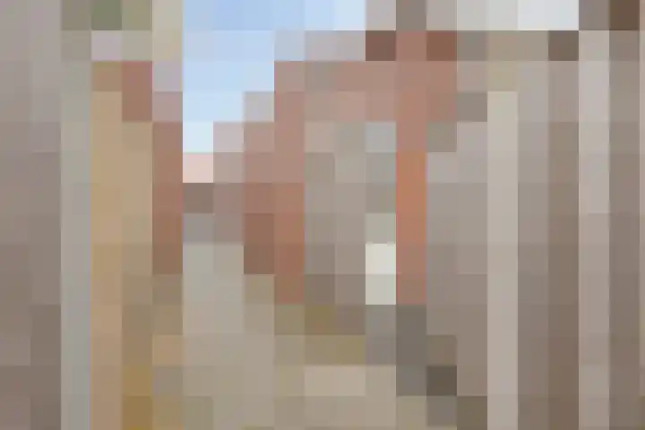 Fonteinkruid 33 Berlicum thumbnail 38