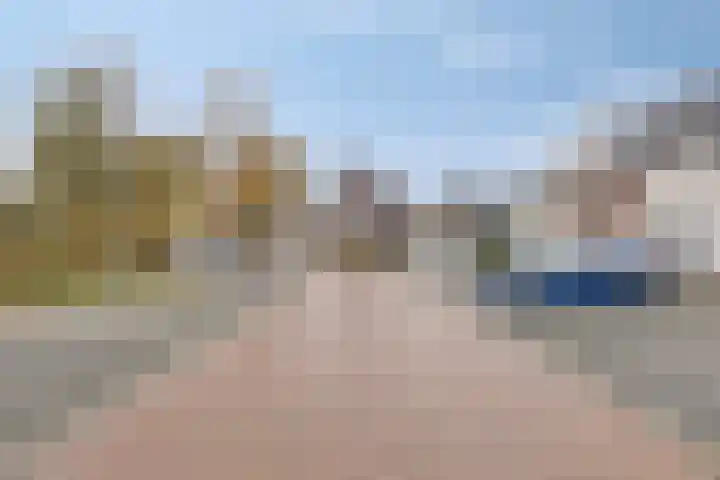 Fonteinkruid 33 Berlicum thumbnail 39