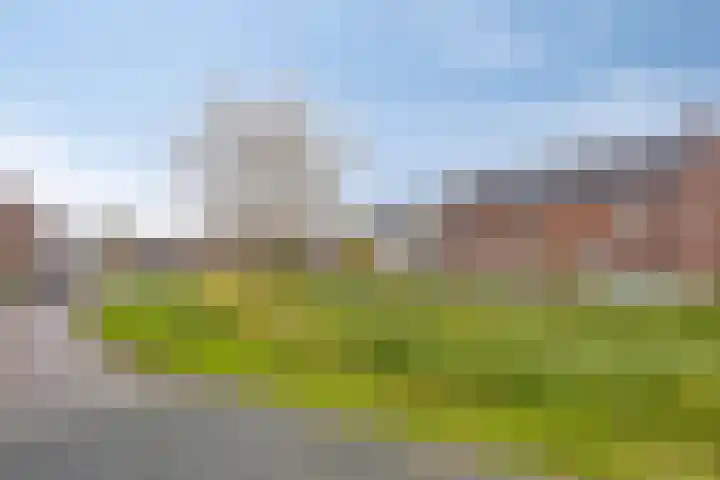 Fonteinkruid 33 Berlicum thumbnail 40