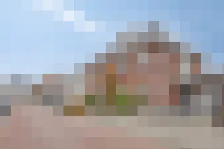 Fonteinkruid 33 Berlicum thumbnail 41
