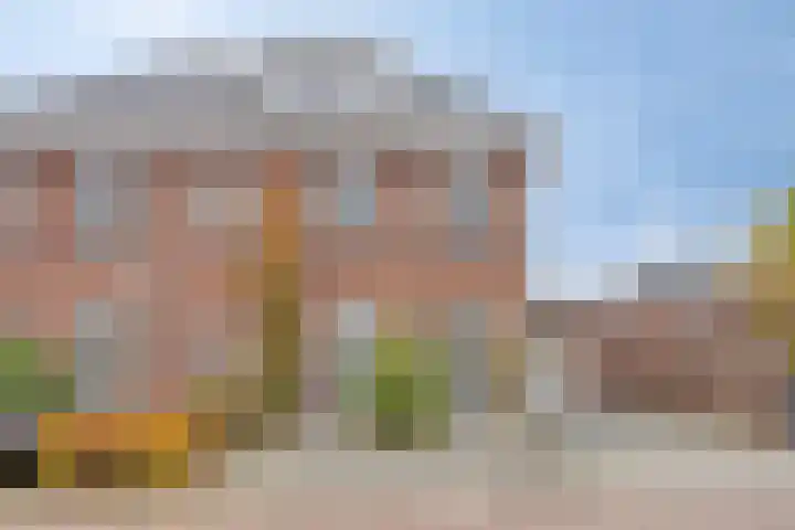 Fonteinkruid 33 Berlicum thumbnail 42