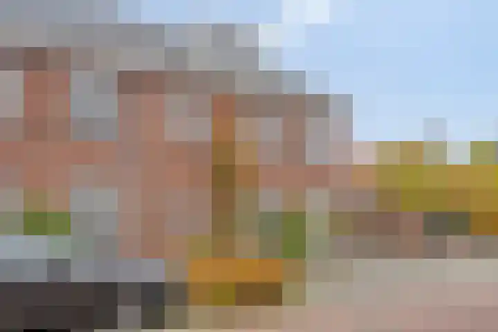 Fonteinkruid 33 Berlicum thumbnail 43