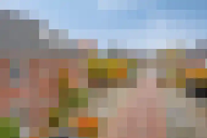 Fonteinkruid 33 Berlicum thumbnail 46